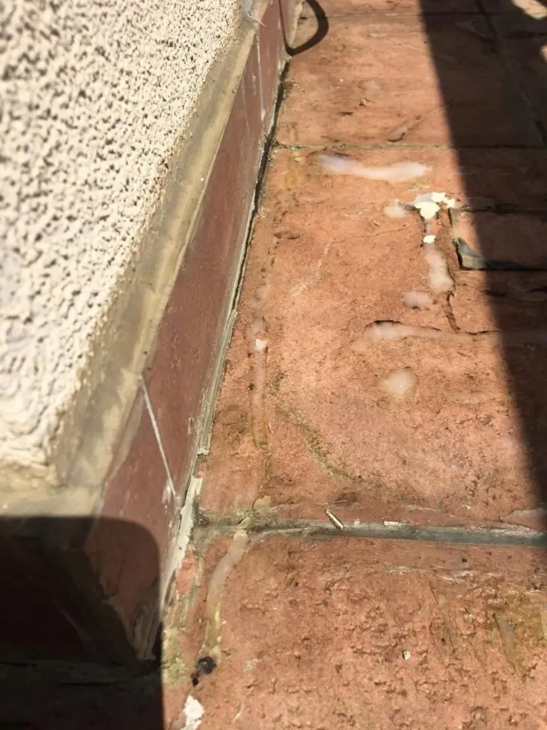 440858997_122098437062310083_6488086930619589067_n